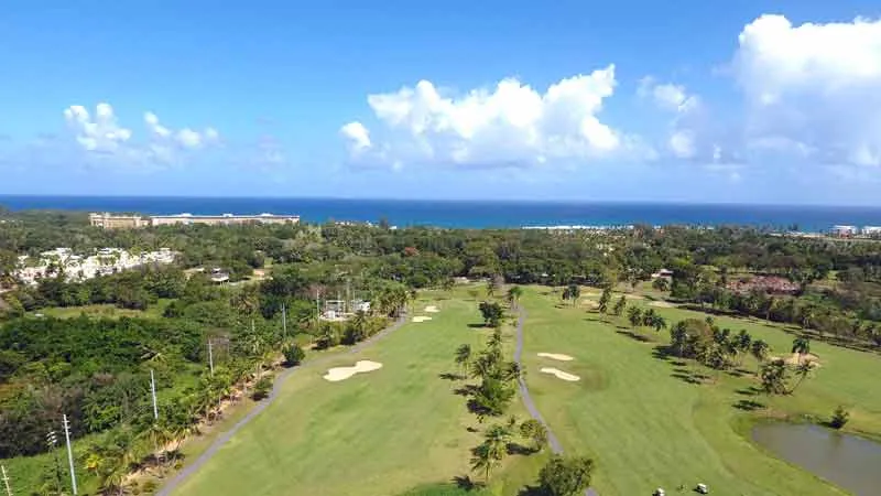 Dorado Beach "Pineapple"